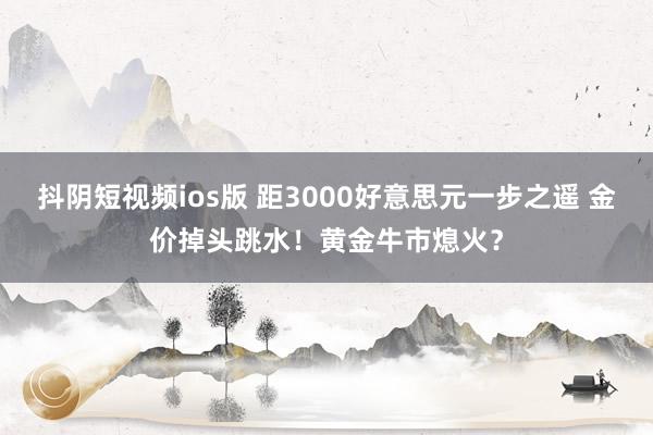 抖阴短视频ios版 距3000好意思元一步之遥 金价掉头跳水!黄金牛市熄火?